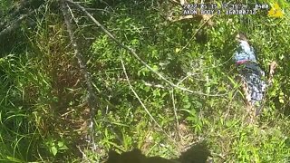 Video: Hillsborough K9, deputy find missing woman in Thonotosassa