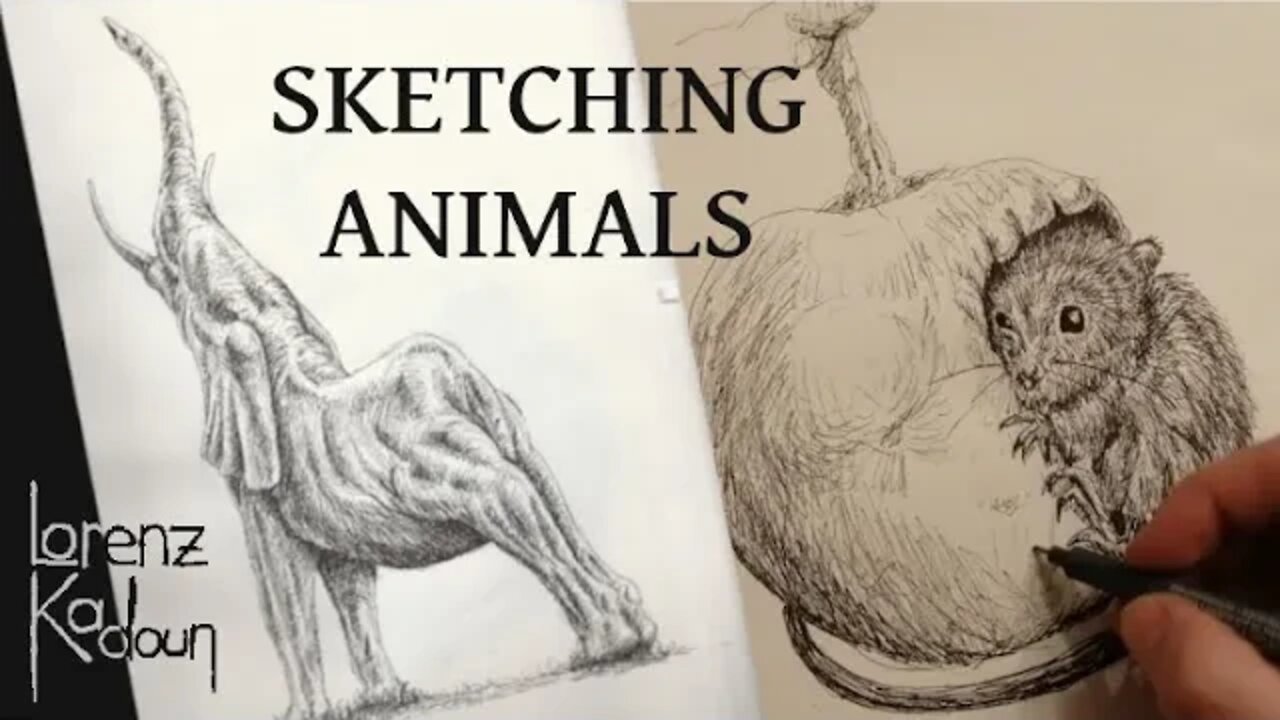 Sketch what you dont see everyday ( Sketching Animals with pen and ink )