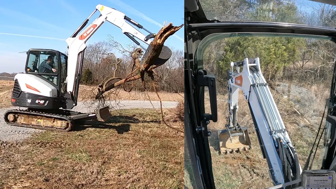 Saturday farm chores! Bobcat e42 R series! YES... she is making me get these sassafras trees!