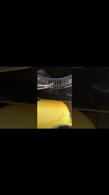 #shorts #2022 funny,prank,funjokes,dad jokes,funny memes,funny video,fun,laughing,funny animal,knock