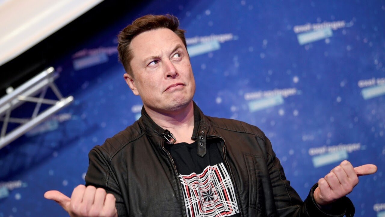 'No wonder they hate him': Elon Musk creating 'even playing field' on Twitter