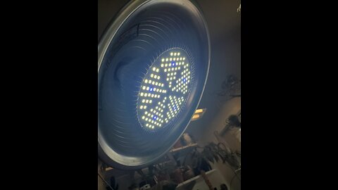 Haus Bright LED Grow Light Bulb - Pure White Seed Star...