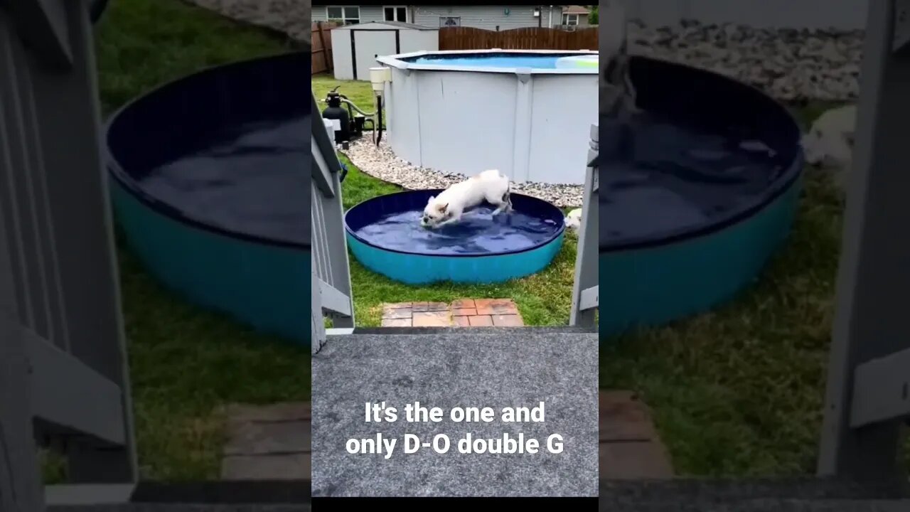 It's the one and only D-O double G #shorts