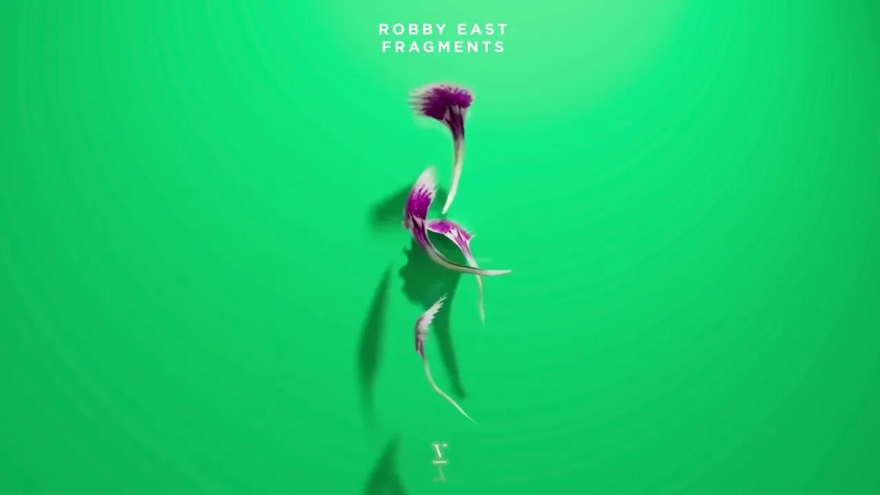 Fragments Robby East