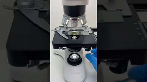 Microscope 🔬 after Looking extra large Viral and Trending Shorts for You #shorts (2)