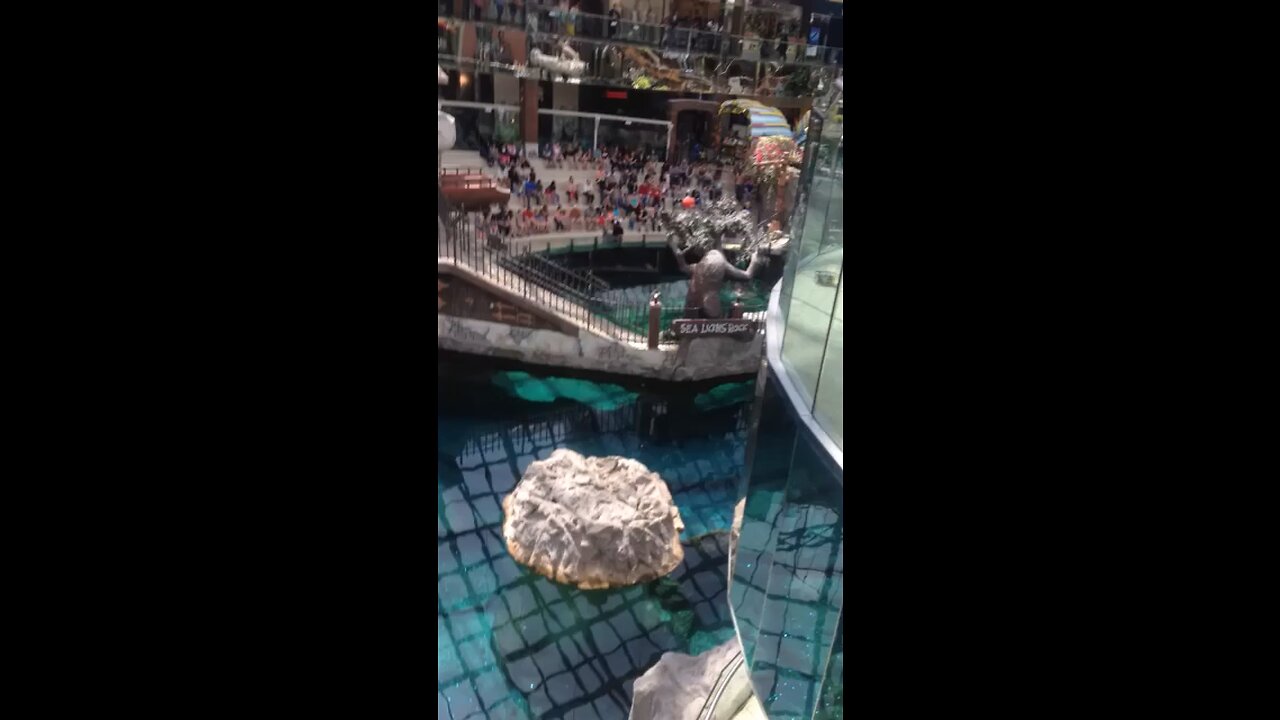 Where was this?