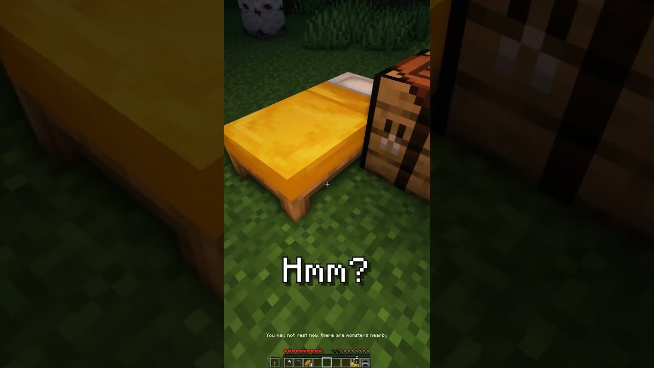 Minecraft When you DON'T fill the Creeper Holes...