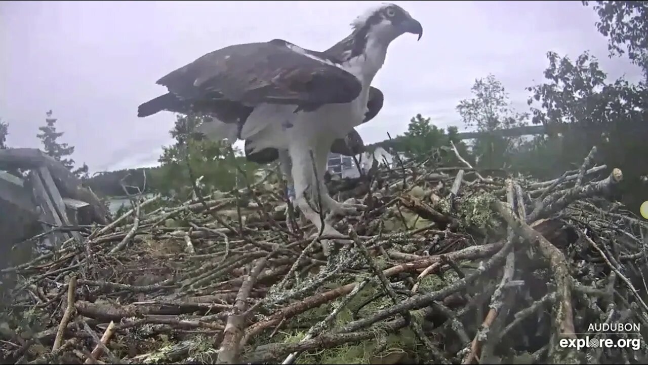 Rachel makes 2 deliveries, Steve brings another jumper. 8-17-19