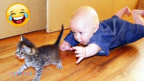 Funny Baby Playing With Cats