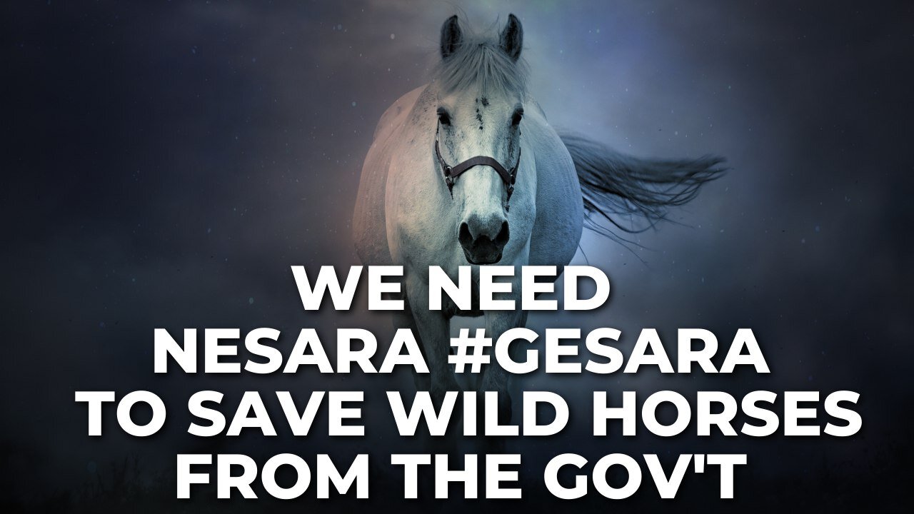 We Need Nesara #Gesara to Save the Wild Horses from the Government!