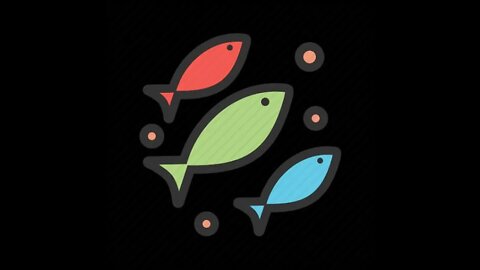 BABY FISH - BASIC PRINCIPLES