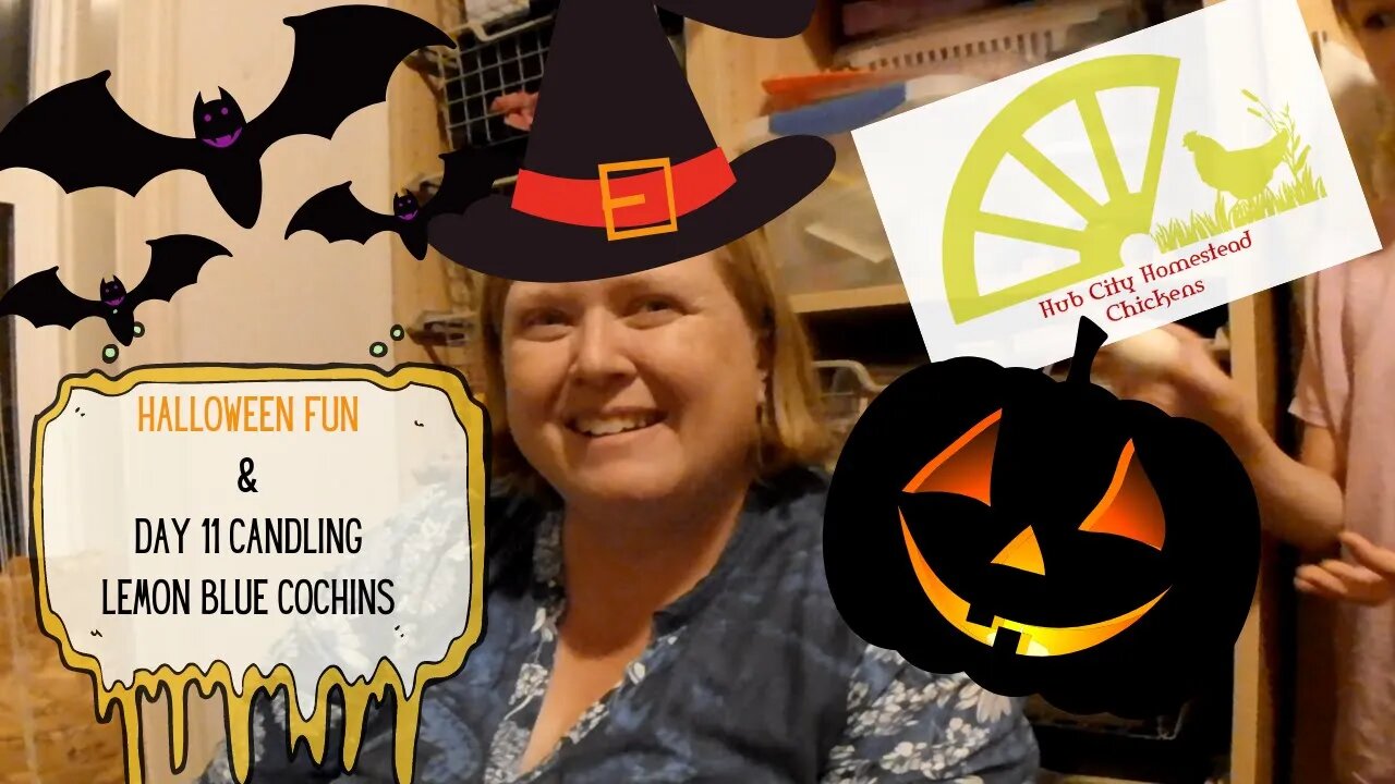 Halloween & Day 11 Candling: These Lemon Blue Cochins are getting big.