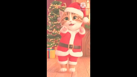 zigo mans song#cat dans