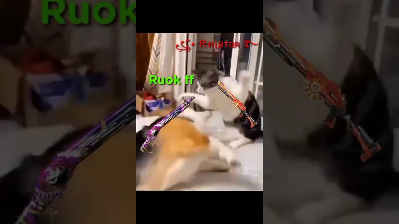 ruok ff vs raister be like | ruok ff & raister funny moment | funny video 😂😂🤣