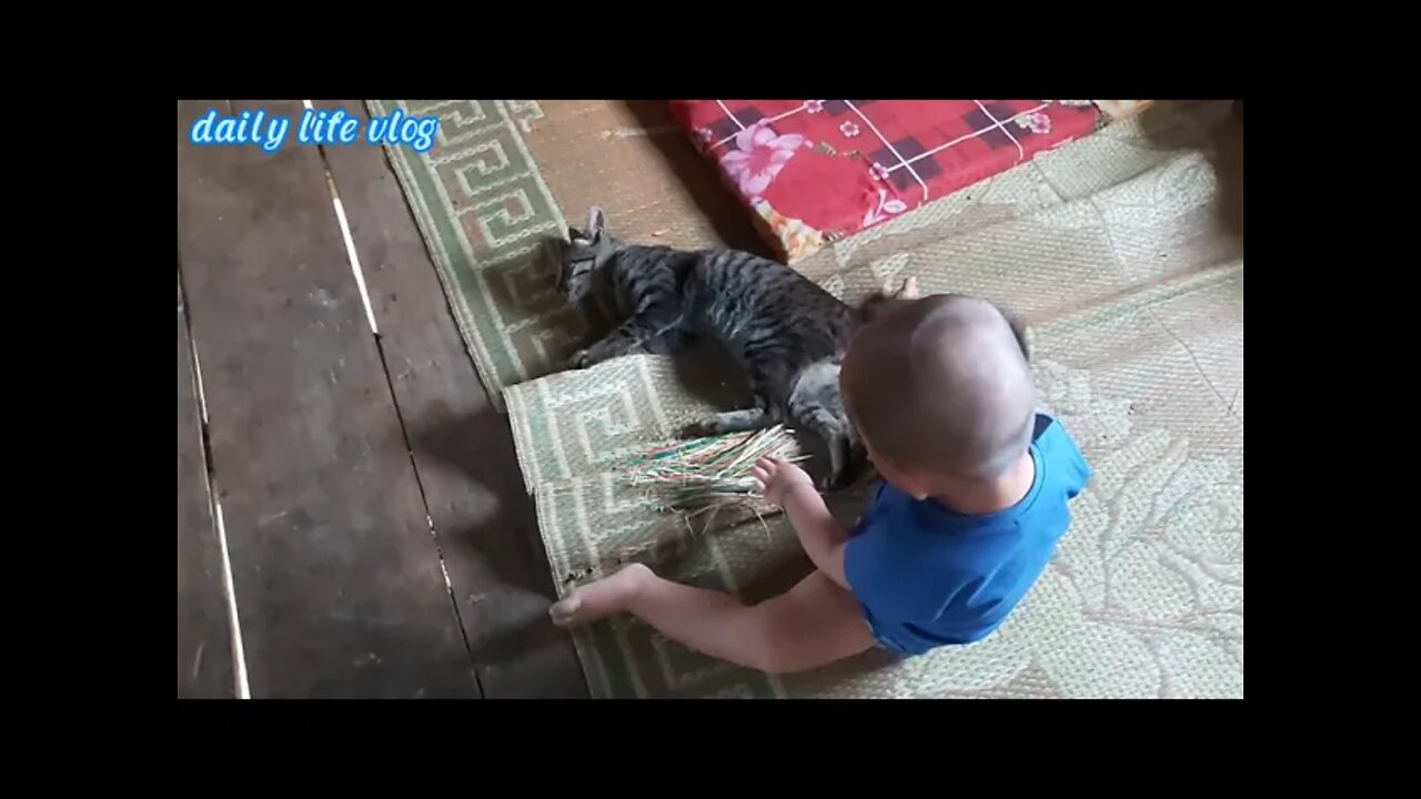 Baby playing with cats | daily life vlog