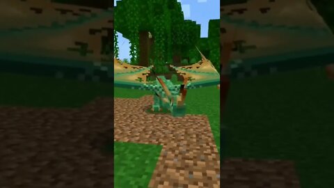 ACHEI UM DRAGÃO NO MINECRAFT 😱😱😱🐉#minecraft #viral #shorts #dragon