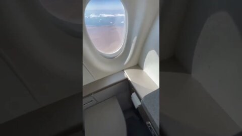 Window In Airbus A220 Bathroom