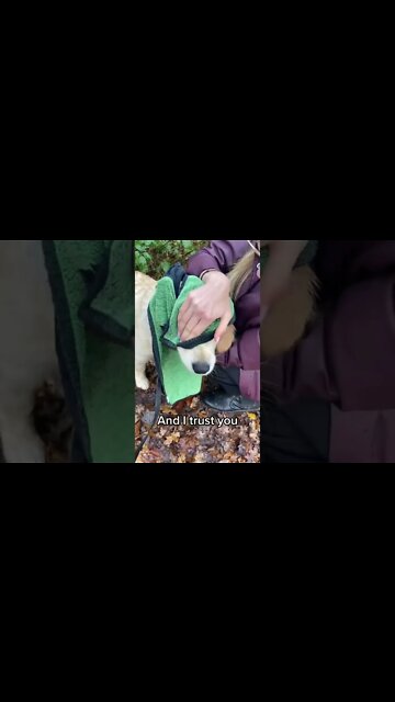 I love you and I tryst you..okay?