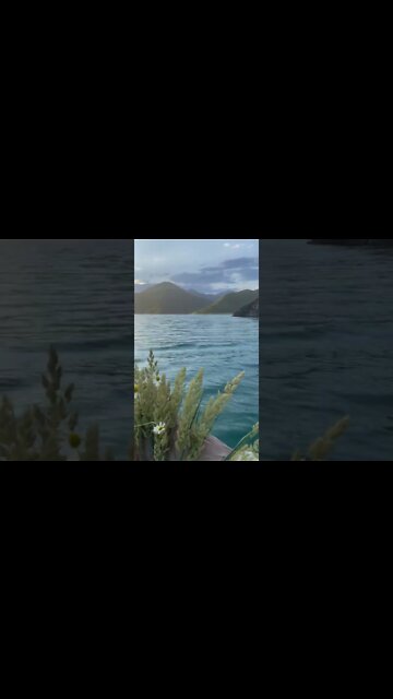 Best Relaxing Sound & Videos | Relaxing | #shorts