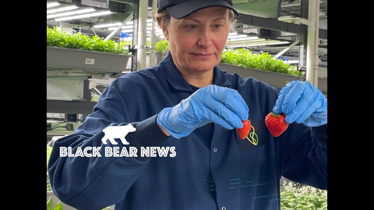 Indoor Farming The Future Of Food?-7.3 Japan Earthquake