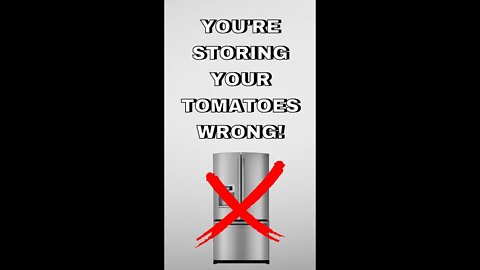 You’ve been storing your tomatoes the WRONG way! #food #tomatoes #cooking