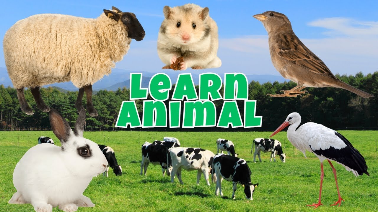 Learn Animals in Habitat, Wolf,Cow,Cat,Dog,Duck,Lion,Goat, Cute Funny Animals - 2 🐓Singing cock🐓