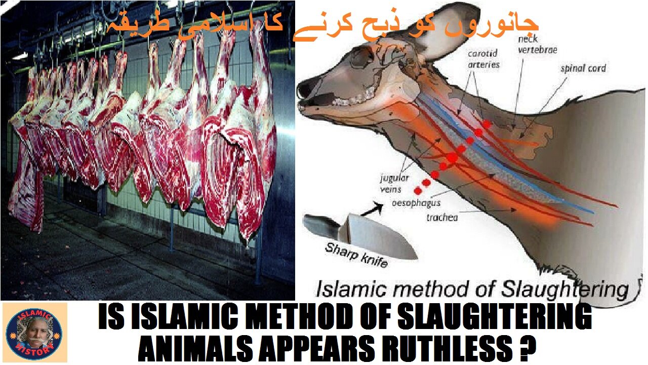 Islamic Method of Slaughtering Animals | جانوروں کو ذبح کرنے کا اسلامی طریقہ