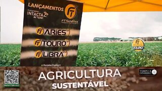 Agricultores do Nordeste atestam a qualidade das cultivares de soja da FT Sementes