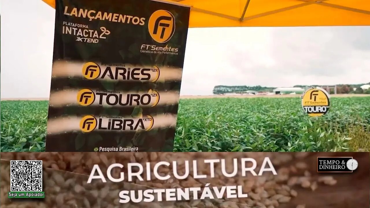 Agricultores do Nordeste atestam a qualidade das cultivares de soja da FT Sementes