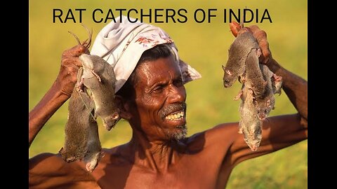 Rat hunter tribe