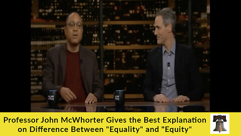 Professor John McWhorter Gives the Best Explanation on Difference Between "Equality" and "Equity"