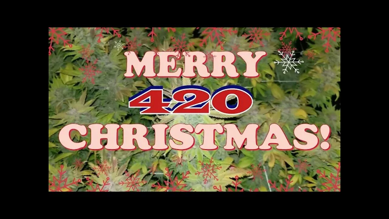 A Christmas Joint #420