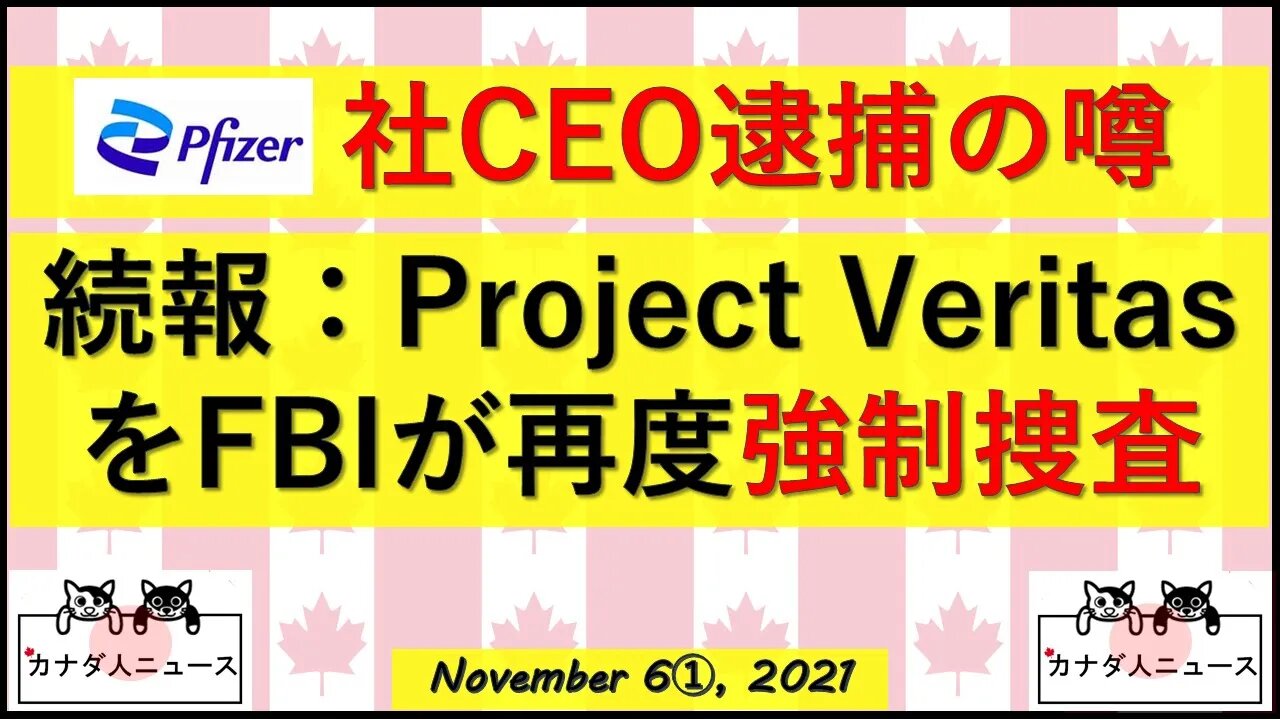 CEO逮捕の噂/PVを再度FBIが強制捜査
