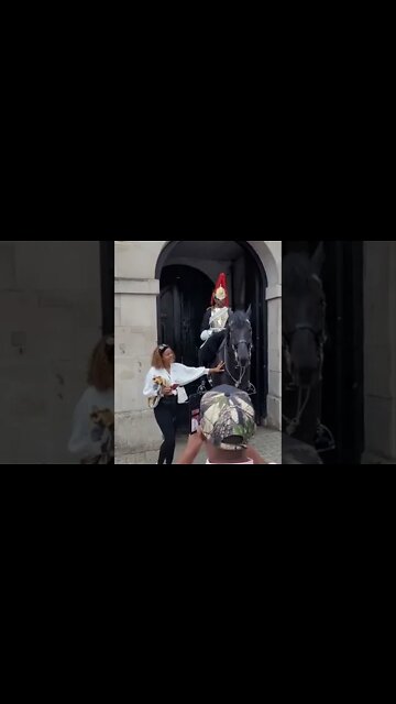 The kings guard shouts dont touch the reins 10 September 2022 #horseguardsparade