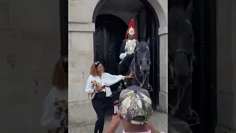 The kings guard shouts dont touch the reins 10 September 2022 #horseguardsparade