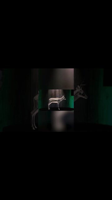 7 hour rule #shorts #deer #deerhunting