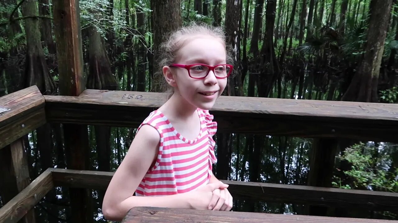 TheFamilyDoes Highlands Hammock State Park