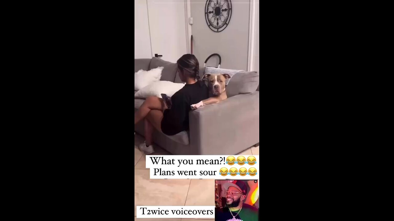What you mean tell you 😂