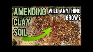 Amending Clay Soil | Will Anything Grow? - Ann's Tiny Life and Homestead