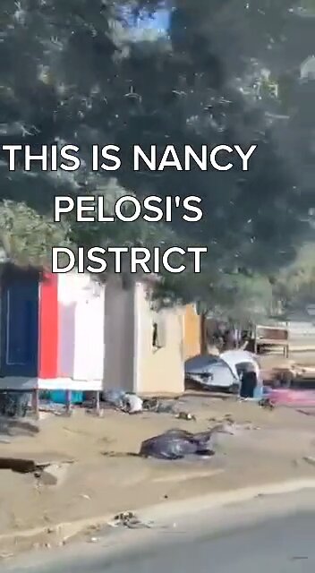 Nancy Pelosi’s district