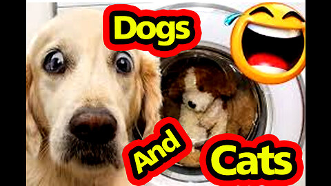 Funny Animal Videos 2023 😂 - Funniest Cats And Dogs Video