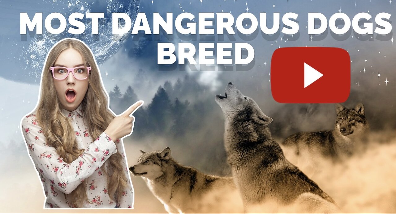 The most dangerous dogs breed in the world// dangerous dog in 2024 list.