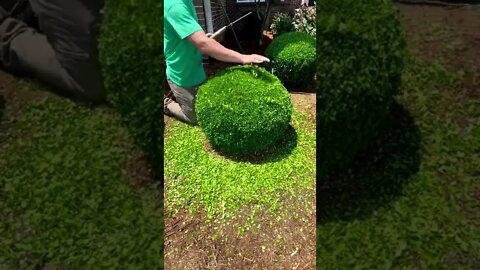 So satisfying 🤩