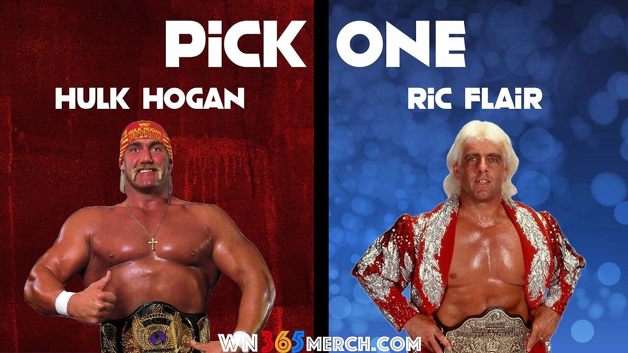 Hulk Hogan VS Ric Flair November 1991 WWF