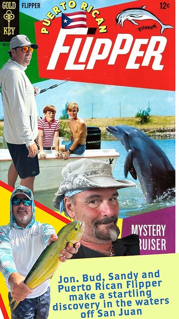 🇵🇷 Puerto Rican Flipper joined us today. 🐬