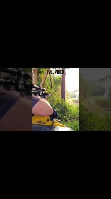 Shooting AR-15, exploding targets #shorts