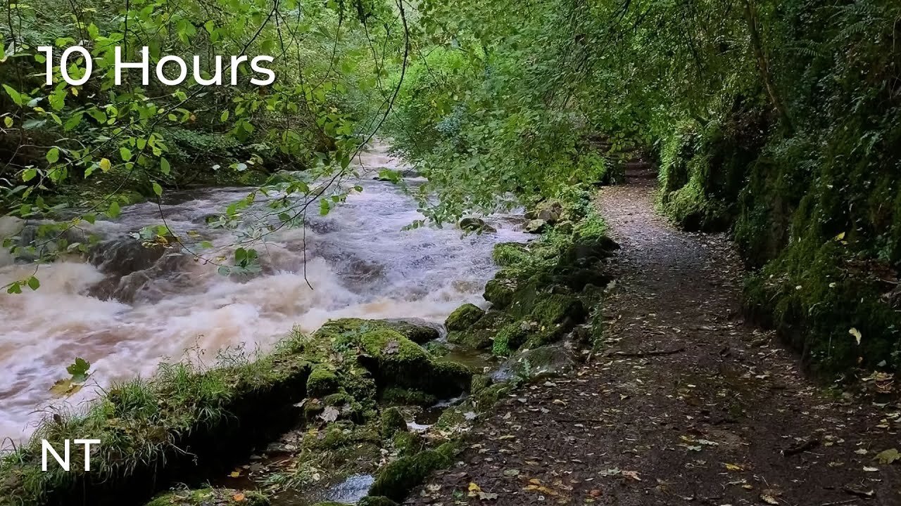 Wild River Sounds | Flowing Water Sounds Over Rocks and soft rain for Sleep or Study