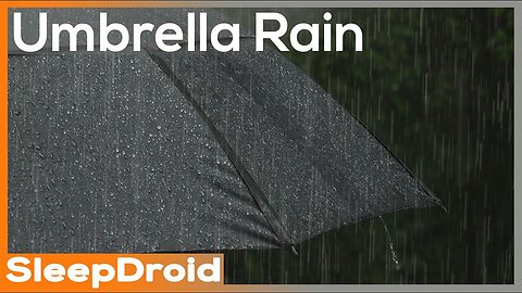 The Ultimate Rainy Day Experience: Calming Sounds Under Your Umbrella