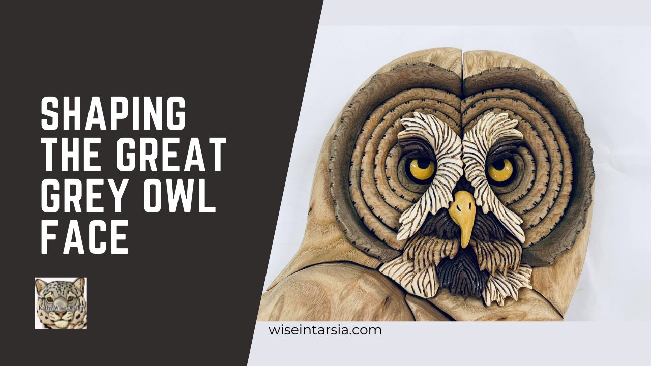 Shaping The Great Grey Owl Face