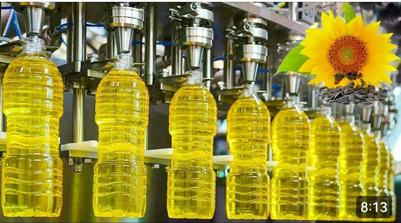 MEGA SUNFLOWER OIL FACTORY | How Sunflowers are Harvested